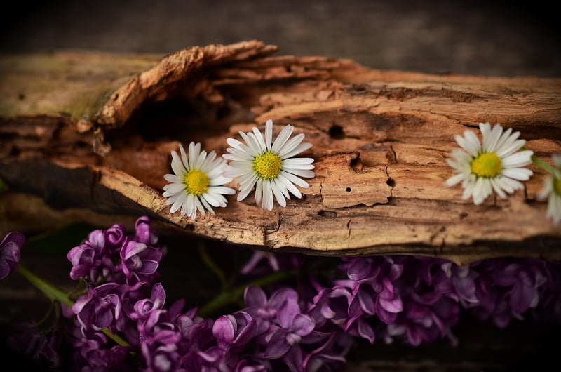 Vertical Wooden Planter