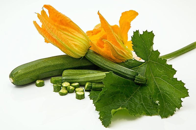 Zucchini Plant